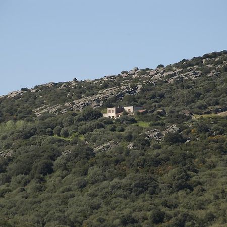 Campi Elisi B&B Сасари Екстериор снимка