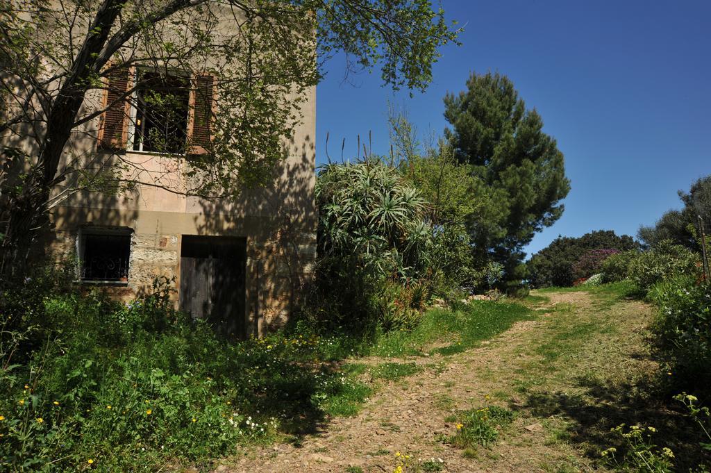 Campi Elisi B&B Сасари Екстериор снимка